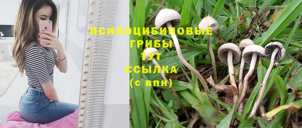 MESCALINE Нефтекумск
