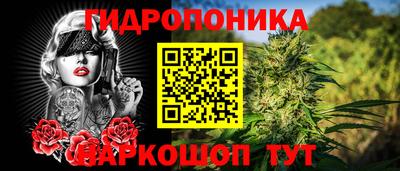 прущая мука Кингисепп