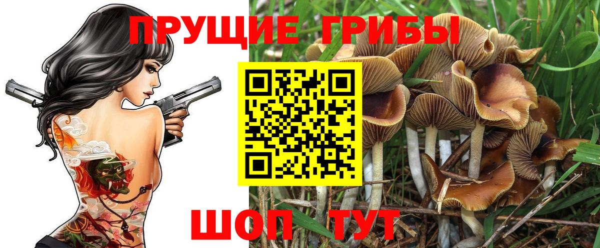 Галлюциногенные грибы MAGIC MUSHROOMS Россошь