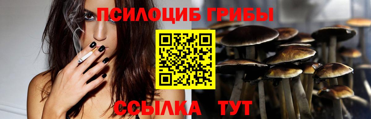 Псилоцибиновые грибы мицелий  Вход с VPN  Россошь 